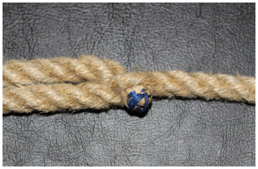 Example of whipping at end of rope